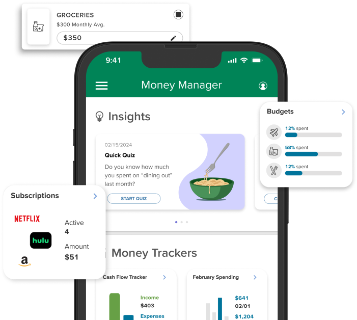 Money Manager UI